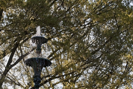 Fountain in the Parkの写真素材
