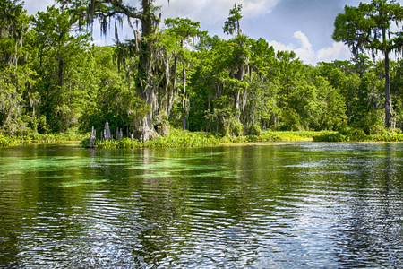 Drifting down a river in Wakulla Springs State Park, Floridaの写真素材