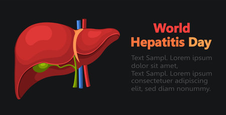 World Hepatitis Day, 28 July. Human liver for medical drug design, pharmaceutical development and education. Flat illustration of human liver isolated on black background.のイラスト素材