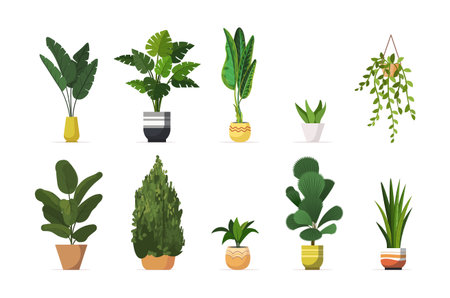 Houseplants set. Indoor plants growing in pots. Decorative natural elements for home decor and interior styling. Vector Not AI generatedのイラスト素材