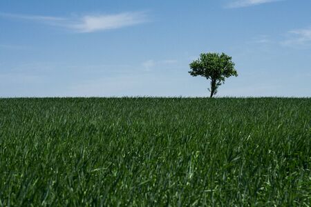 Boundless fieldの写真素材