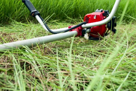 Mower