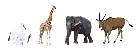Pelican, antelope, elephant and giraffe on a white backgroundのイラスト素材