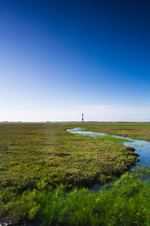 Low lying foliage surrounded by water from the North Sea with deep blue sky and calm reflection on surfaceの写真素材