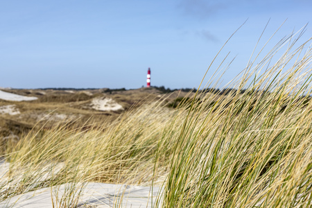 Picturesque landscape with red lighthouse on the hill in distance against cloudy sky and dry grass...