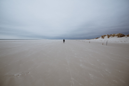 Person in the middle of wide sandy beach landscape against overcast sky on moody day at North Sea, Amrum, Norddorf, Germany, Schleswig-Holsteinの写真素材