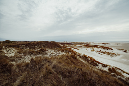 Sand dunes on the island of Amrum in spring on a cloudy, atmospheric day at low tide. Idyllic picturesque landscape with dry grass.の写真素材