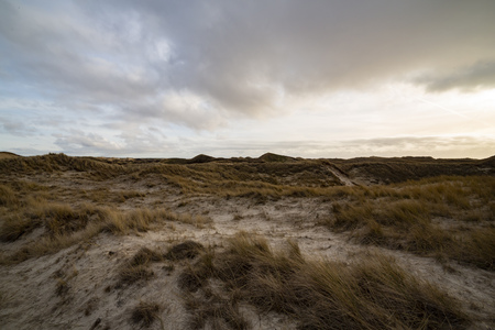 Beautiful backlit evening atmosphere of the island of Amrum. Impressive dunes in back light with light cloudy sky. The sun almost shines through. North Frisia, Schleswig-Holstein, Germany.の写真素材