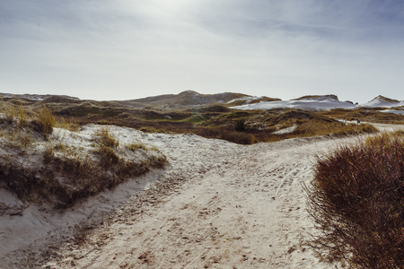 Sand dunes beside a path or way on the island of Amrum in spring on a sunny spring dayの写真素材