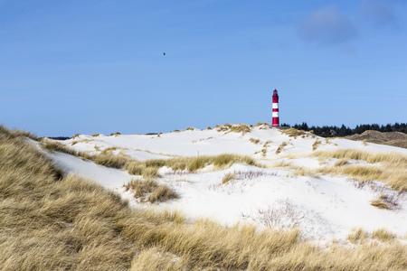 Red and white lighthouse on the hill viewed from low angle with dry grass and white sand dunes trail in foreground on a sunny day in Amrum, Germany, Schleswig-Holsteinの写真素材