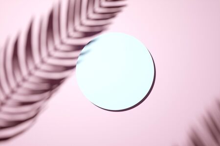 Shadow of a palm frond on a pink pastell wall with central blank square canvas or picture frame in an interior design template conceptの写真素材