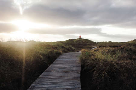 View against sun on summer landscape at North Sea coast. Boardwalk tourist pathway in nature leading to lighthouse in distance. Cloudy sky before sunset.の写真素材
