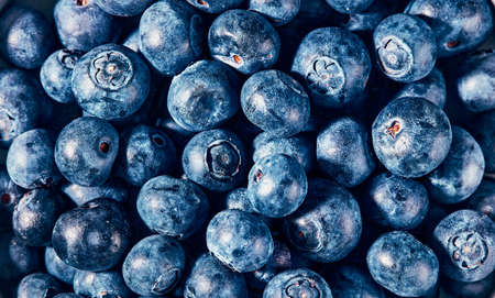 Pile of fresh forest fruit. Full frame shot of natural source of vitamins and antioxidants. High...