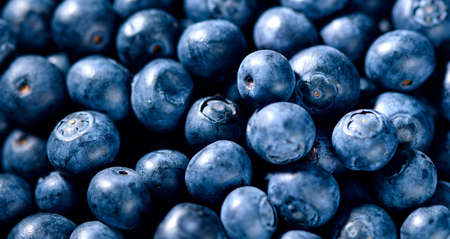 High angle view of fresh blueberries. Small round tasty and healthy forest berries background. Selective focus.の写真素材