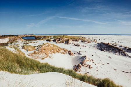 Panoramic view of coastal landscape from lookout sand dune. Summer vacation, holiday at sea concept.の写真素材