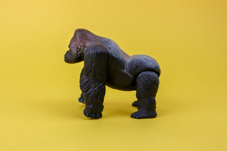 Male gorilla toy isolatedの写真素材