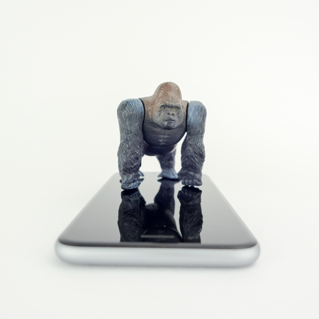 Gorilla toy on gorilla glassの写真素材