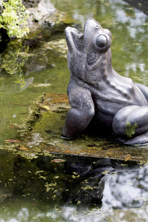 Frog statue in a fountain with reflections in waterの写真素材