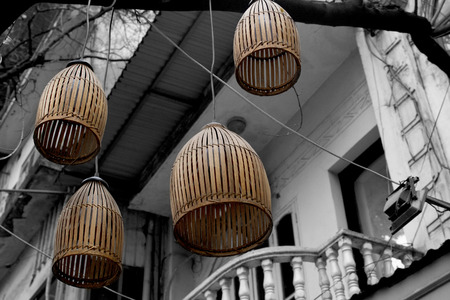 Bamboo lanterns from belowの写真素材