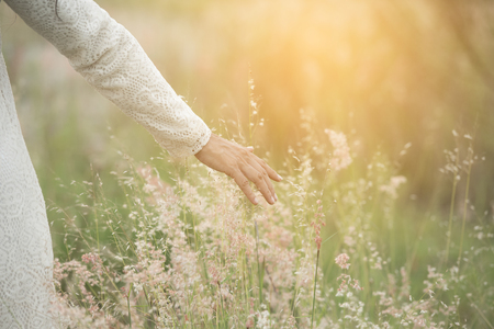 Blurred hand of young beautiful woman touching wheat spikes with her hand at sunset. a Meadow with the hard sunlight.の写真素材
