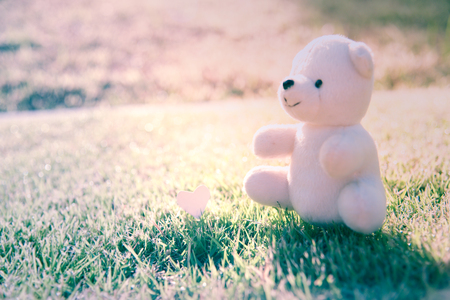 Teddy bear sitting in the park. family Concept.の写真素材