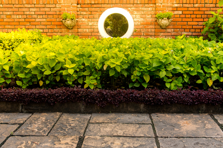 Wall brick and green bush over the ground concrete in the park with the hard sunlight.の写真素材