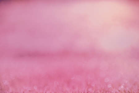 Blur background bokeh for christmas festival event party in auditorium hall convention audience present display goods products on shelf. Blurry abstract background with copy space template bannerの写真素材