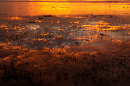 Scenic view dramatic beautiful sunset sky. Natural Sunset Sunrise on meadow silhouette shadow dark land. Vibrant dramatic sky on sunset, dawn, sunrise in Countryside. Landscape Colorful Sky At Sunsetの写真素材