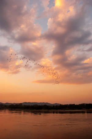 Scenic view dramatic beautiful sunset sky. Natural Sunset Sunrise on meadow silhouette shadow dark land. Vibrant dramatic sky on sunset, dawn, sunrise in Countryside. Landscape Colorful Sky At Sunsetの写真素材