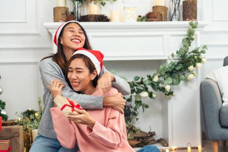 Two Women siblings using hands decorate Christmas tree red ball, bauble, snow flake. Close up hands holding red ball bauble decorate. Asian woman friends decor bauble ball christmas tree xmas holidayの写真素材