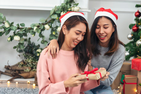 Two Women siblings using hands decorate Christmas tree red ball, bauble, snow flake. Close up hands holding red ball bauble decorate. Asian woman friends decor bauble ball christmas tree xmas holidayの写真素材