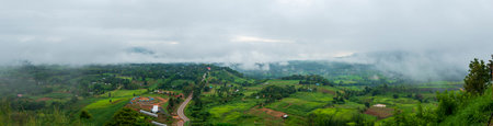 Banner Beautiful landscape mountain green field grass meadow white cloud blue sky on sunny day. panoramic Majestic green scenery big mountain hill cloudscape valley panorama view greenery countrysideの写真素材
