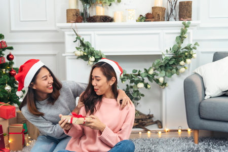Two Women siblings using hands decorate Christmas tree red ball, bauble, snow flake. Close up hands holding red ball bauble decorate. Asian woman friends decor bauble ball christmas tree xmas holidayの写真素材