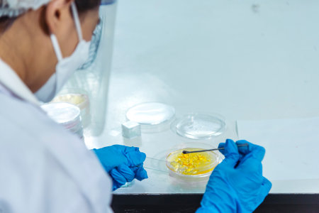 Close up Scientist man hands look at Glass Petri Dish use Microscope research in science laboratory....
