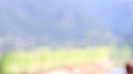 Blur background green park garden nature bright sunny forest. Blurry outdoor park in spring time glowing shinny day template with sunlight bokeh. Abstract blurred background banner copy space.の写真素材