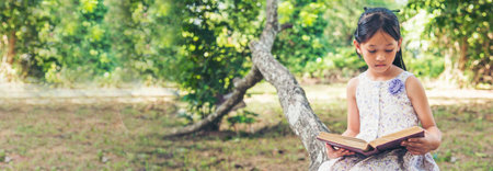 Banner Asian Girl holding book reading at green park in nature garden. Panorama Young todler girl relaxation read book. Happy child women smiling with happiness. Kid sit in green park with copy spaceの写真素材