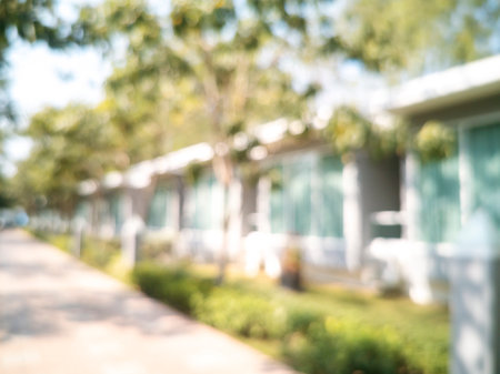 Blur background green park garden nature bright sunny forest. Blurry outdoor park in spring time glowing shinny day template with sunlight bokeh. Abstract blurred background banner copy space.の写真素材