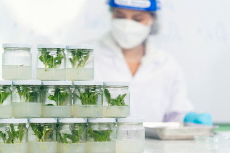 Biochemistry asian Scientist women working plants tissue culture biotechnology in science lab. Biotech Laboratory asian woman look at Glass Petri Dish, plants tissue culture jar. Biosynthesis processの写真素材