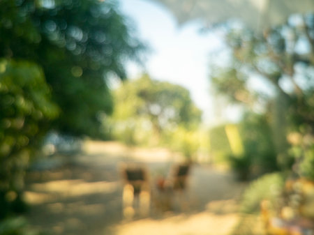 Blur background green park garden nature bright sunny forest. Blurry outdoor park in spring time glowing shinny day template with sunlight bokeh. Abstract blurred background banner copy space.の写真素材