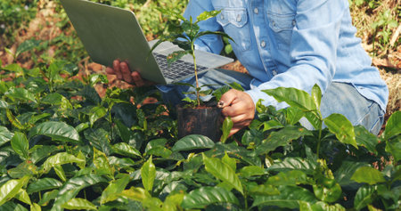 Smart farmer using laptop in eco green farm sustainable quality control. Close up Hand typing laptop computer quality control plant tree. Farmer hands using technology in eco Farmland biotechnologyの写真素材