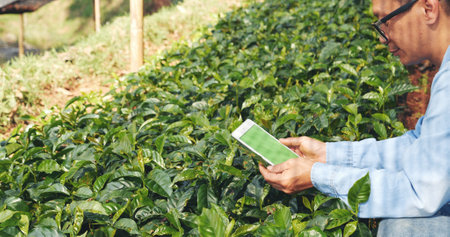 Smart farmer holding smartphone in eco green farm sustainable quality control. Close up Hand control...