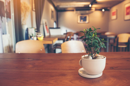 Cactus with empty banner on wooden table background design for interior use board. Display product furniture desk with blurred background. Ready use to present product display banner with copy spaceの写真素材