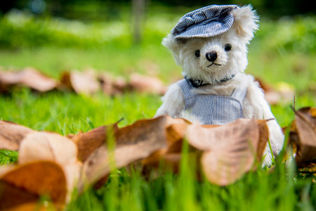 Teddy bear sitting in the park. family Concept.