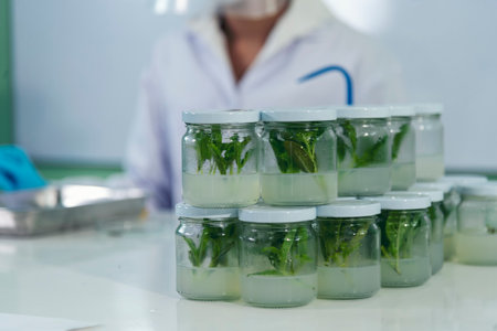 Biochemistry asian Scientist women working plants tissue culture biotechnology in science lab....