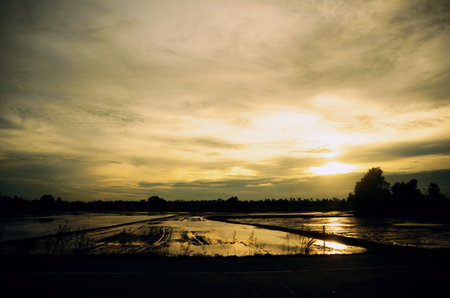 Tropical amazing dramatic golden sky on sunset over scenic river lake seascape ocean. Silhouette tranquil season wilderness serene landscape. Tranquil lake countryside sunrise seaside reflectionの写真素材