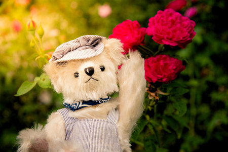 Smiling Teddy bear best friends toy for kids. Adorable Fluffy Brown Teddy Bear happy in green park. Happy fun friend fluffy cute toy doll sitting at garden. Stuffed Toy for kids Family childhoodの写真素材