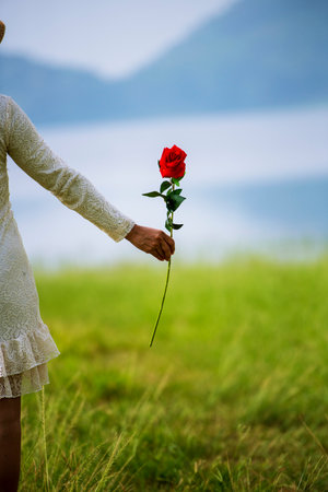Woman hand holding rose flower hiding behind back side rear view to surprise couple on valentine's day. Beauty woman giving surprise red rose florist outdoor in green park. valentine's day conceptの写真素材