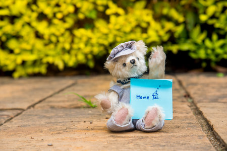 Smiling Teddy bear best friends toy for kids. Adorable Fluffy Brown Teddy Bear happy in green park. Happy fun friend fluffy cute toy doll sitting at garden. Stuffed Toy for kids Family childhoodの写真素材