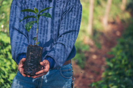 Smart farmer checking plant in eco green farm sustainable quality control. Close up Hand check quality control plant tree. Farmer cultivated planting in eco Farmland biotechnology. Green agricultureの写真素材