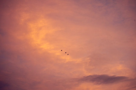 Golden sky sunrise dramatic beautiful landscape view. Dawn sky gold dusk time cloudscape with sunlight. Dramatic sunset scenic landscape. Beautiful landscape sunshine natureの写真素材